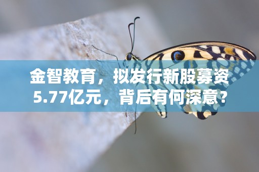 金智教育，拟发行新股募资5.77亿元，背后有何深意？