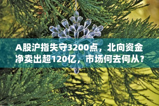 A股沪指失守3200点，北向资金净卖出超120亿，市场何去何从？