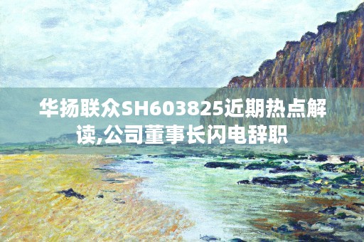 华扬联众SH603825近期热点解读,公司董事长闪电辞职