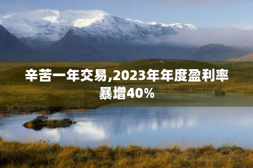 辛苦一年交易,2023年年度盈利率暴增40%