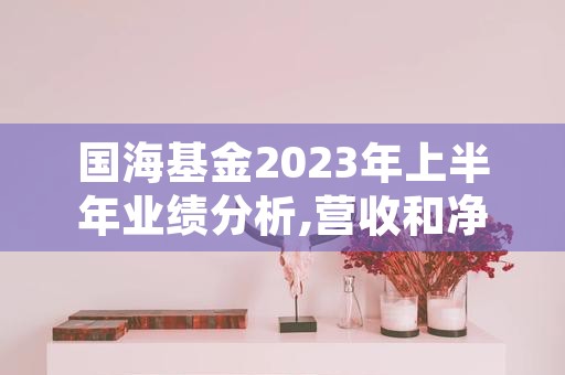 国海基金2023年上半年业绩分析,营收和净利双双下滑原因揭秘