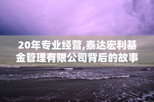 深挖长盛成长价值证券投资基金,优质基金经理本领大揭示