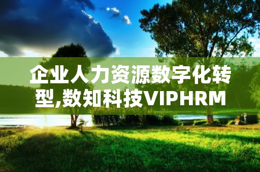 企业人力资源数字化转型,数知科技VIPHRM的智能解决方案