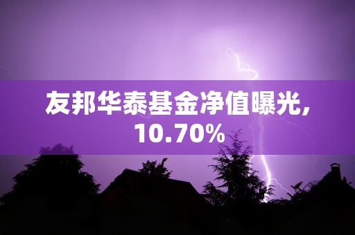 友邦华泰基金净值曝光,10.70%