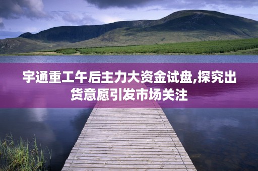 宇通重工午后主力大资金试盘,探究出货意愿引发市场关注