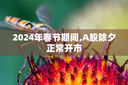 九鼎新材股吧,70亿市值背后的震撼力量与全面发展规划