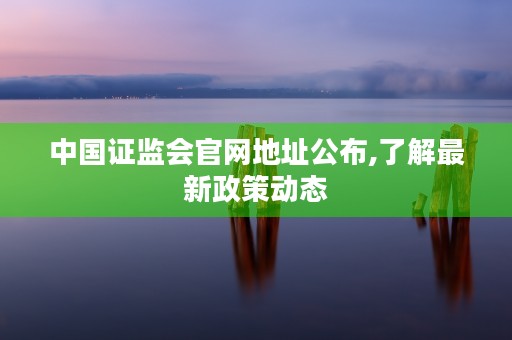 中国证监会官网地址公布,了解最新政策动态