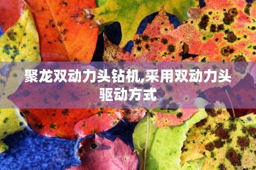 期货交易技巧大揭秘,5大技巧助你稳赚不赔