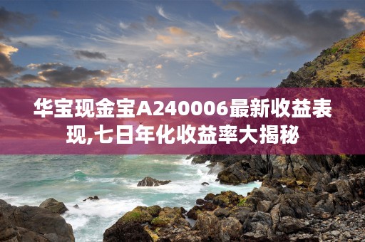 华宝现金宝A240006最新收益表现,七日年化收益率大揭秘