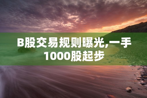 B股交易规则曝光,一手1000股起步