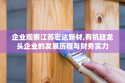 企业观察江苏宏达新材,有机硅龙头企业的发展历程与财务实力