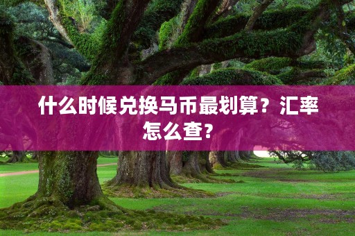 什么时候兑换马币最划算？汇率怎么查？