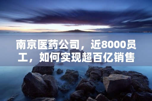 南京医药公司，近8000员工，如何实现超百亿销售额？