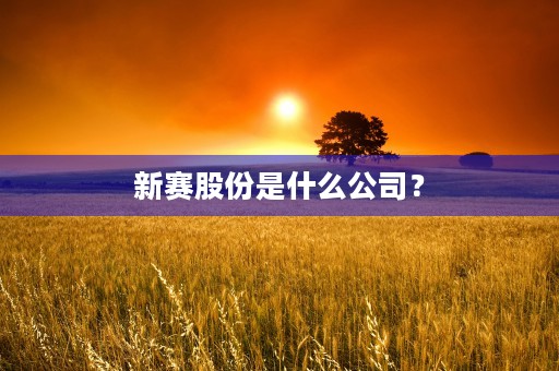 新赛股份是什么公司？