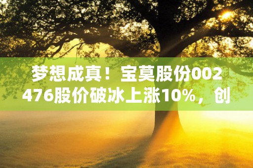 梦想成真！宝莫股份002476股价破冰上涨10%，创新高即将涎生！