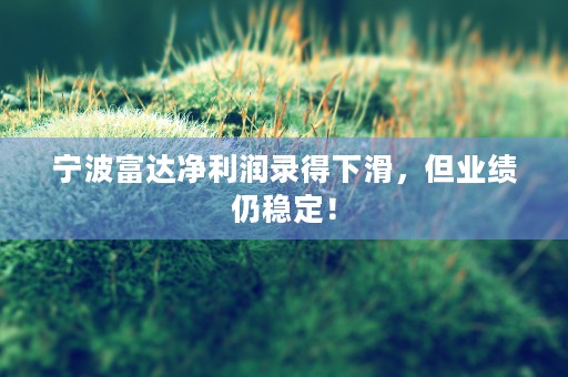 宁波富达净利润录得下滑，但业绩仍稳定！