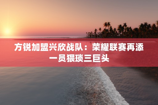 方锐加盟兴欣战队：荣耀联赛再添一员猥琐三巨头