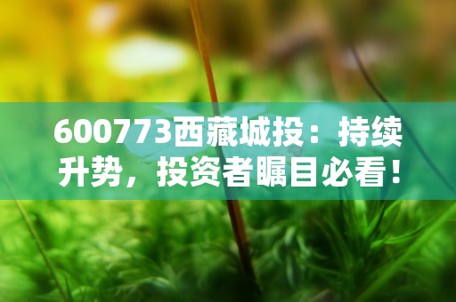 600773西藏城投：持续升势，投资者瞩目必看！，600773西藏城投最新消息