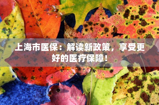 上海市医保：解读新政策，享受更好的医疗保障！