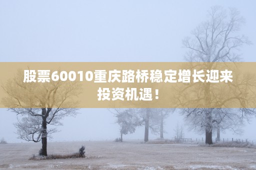 股票60010重庆路桥稳定增长迎来投资机遇！