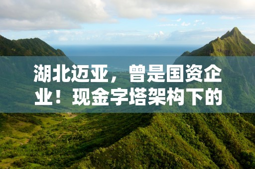 湖北迈亚，曾是国资企业！现金字塔架构下的控制之谜！