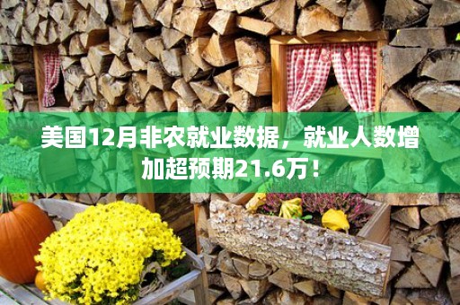 美国12月非农就业数据，就业人数增加超预期21.6万！