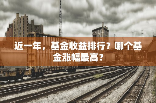 近一年，基金收益排行？哪个基金涨幅最高？