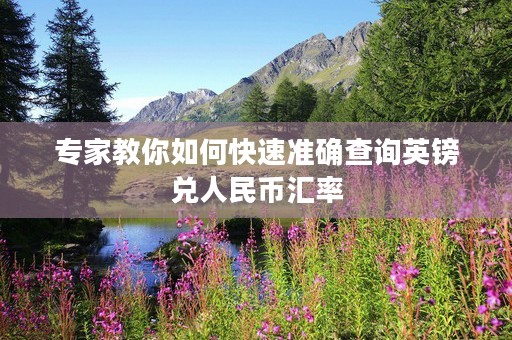 专家教你如何快速准确查询英镑兑人民币汇率