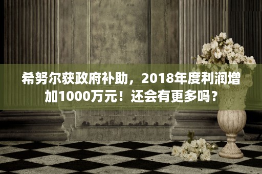 希努尔获政府补助，2018年度利润增加1000万元！还会有更多吗？