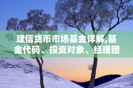 建信货币市场基金详解,基金代码、投资对象、经理团队一览