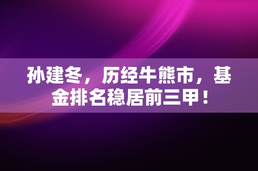 孙建冬，历经牛熊市，基金排名稳居前三甲！