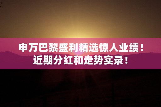 申万巴黎盛利精选惊人业绩！近期分红和走势实录！