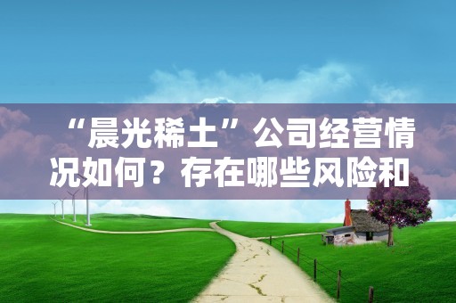 “晨光稀土”公司经营情况如何？存在哪些风险和挑战？