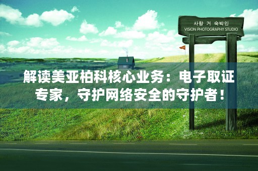 解读美亚柏科核心业务：电子取证专家，守护网络安全的守护者！