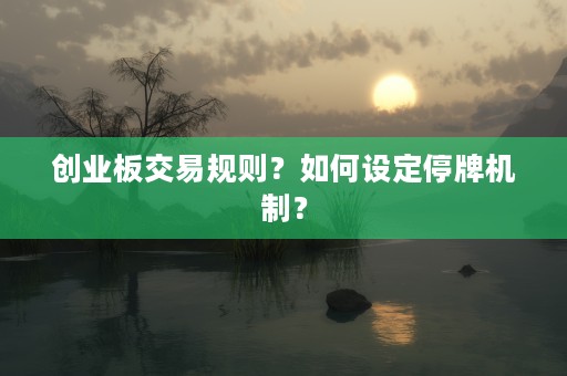 创业板交易规则？如何设定停牌机制？