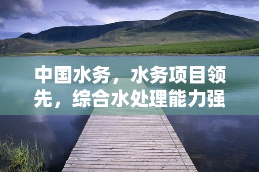 中国水务，水务项目领先，综合水处理能力强大！