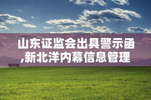 山东证监会出具警示函,新北洋内幕信息管理问题受监管关注