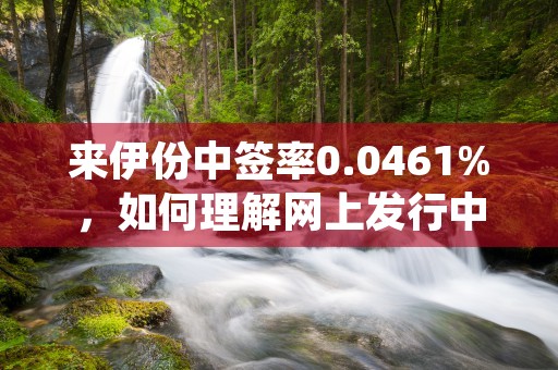 来伊份中签率0.0461%，如何理解网上发行中签率？