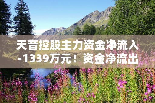 天音控股主力资金净流入-1339万元！资金净流出占比6.51%！