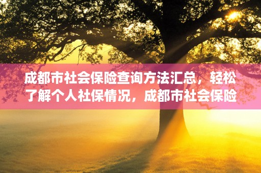 成都市社会保险查询方法汇总，轻松了解个人社保情况，成都市社会保险查询电话