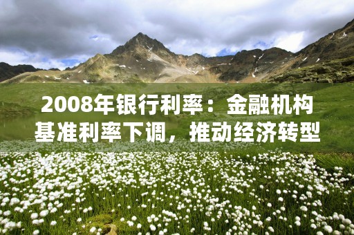 2008年银行利率：金融机构基准利率下调，推动经济转型！