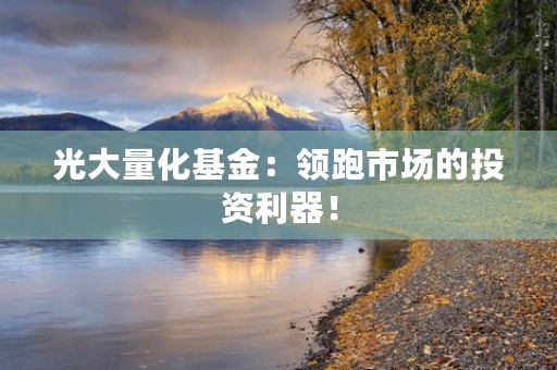 申万菱信基金：稳健增长，助您实现财富增值！，申万菱信基金012211