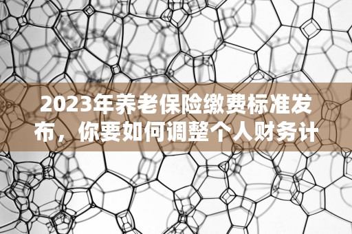 2023年养老保险缴费标准发布，你要如何调整个人财务计划？