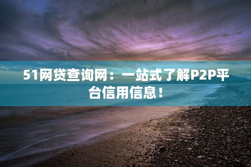 51网贷查询网：一站式了解P2P平台信用信息！