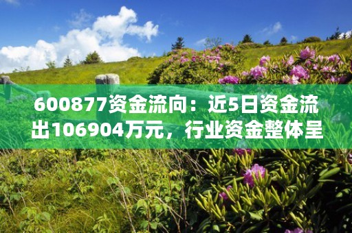 600877资金流向：近5日资金流出106904万元，行业资金整体呈流入状态！，600877资金流向全览