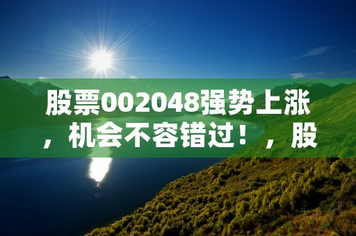 股票002048强势上涨，机会不容错过！，股票002217