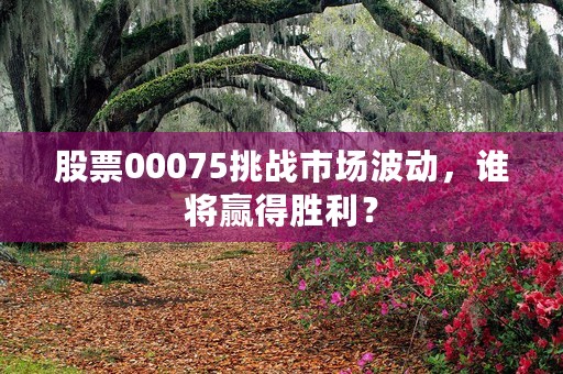 股票00075挑战市场波动，谁将赢得胜利？