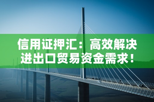 信用证押汇：高效解决进出口贸易资金需求！