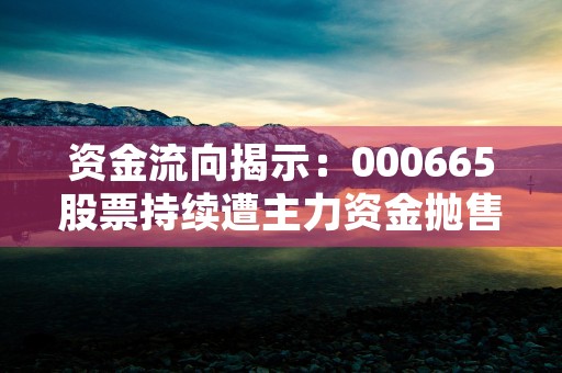 资金流向揭示：000665股票持续遭主力资金抛售！