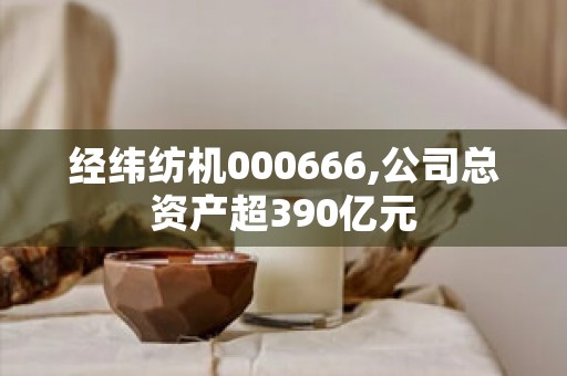 经纬纺机000666,公司总资产超390亿元